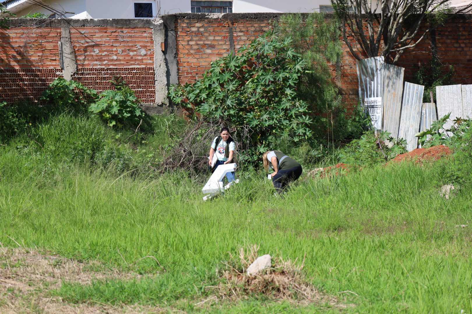 Guarapuava Tem Nova Data Para Mutir O Contra A Dengue