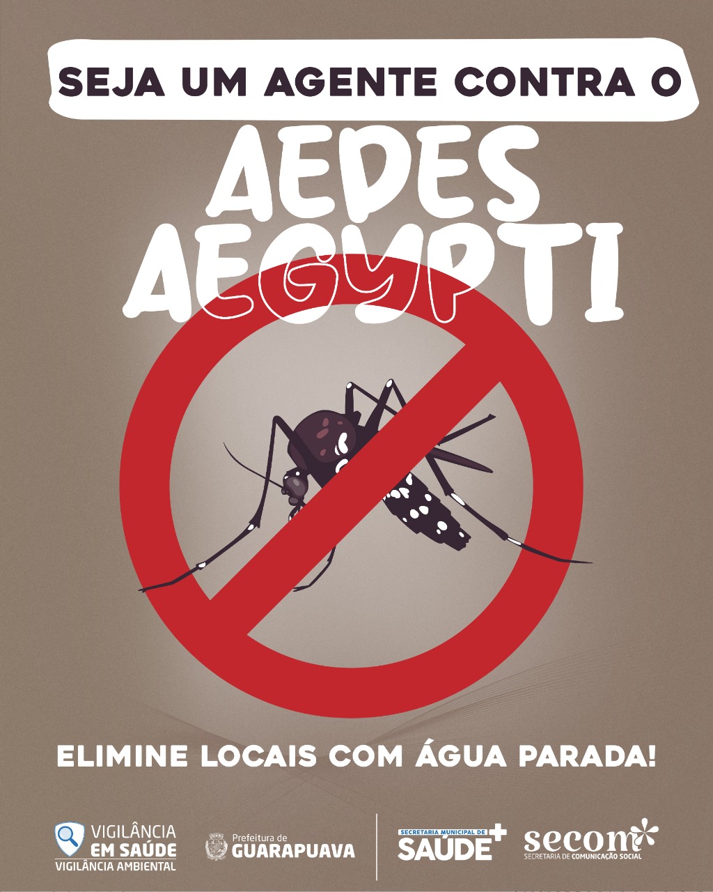 Es wird eine Erhebung zum Befall von Aedes aegypti in Guarapuava durchgeführt