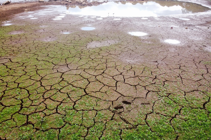 Guarapuava é a cidade que mais sofre com a seca no Paraná, diz Simepar